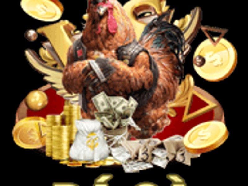 Tỷ lệ hoàn trả cao hơn